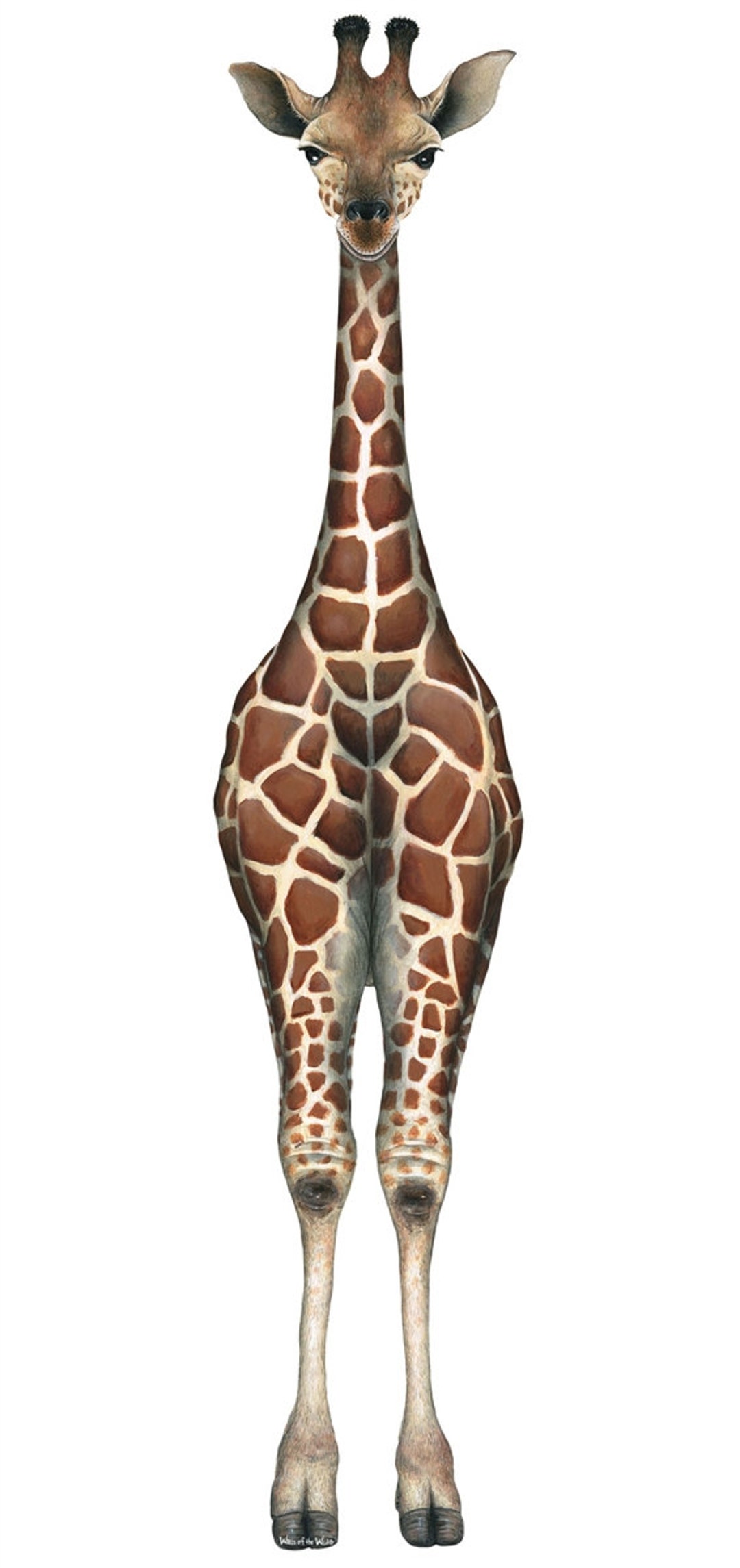 Sticker Mural girafe Etsy France