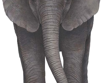 Elephant Wall Decal