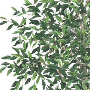 Tree Wall Decal