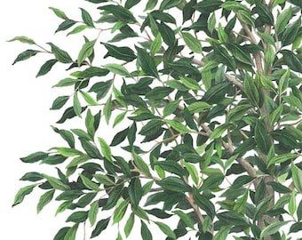 Tree Wall Decal