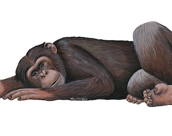 Chimpanzee Wall Decal