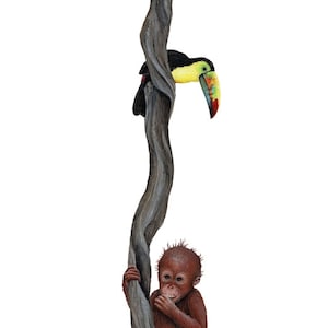 Orangutan & Toucan Wall Mural