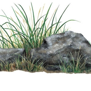Rocks & Grass Wall Decal