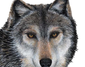 Wolf Wall Decal