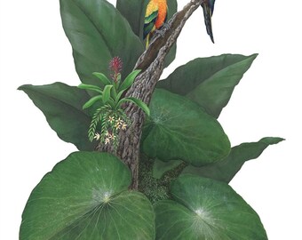 Parrots Wall Mural
