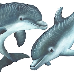 Playful Dolphins Wall Decal