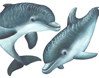Playful Dolphins Wall Decal