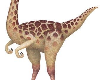 Gallimimus Wall Decal