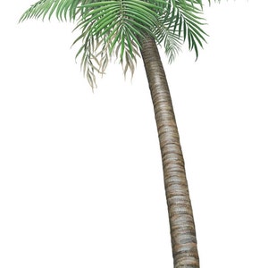 Small Palm Tree Left Wall Mural