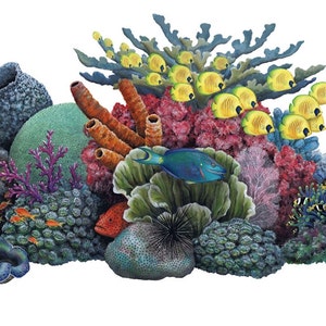 Coral Reef - Etsy