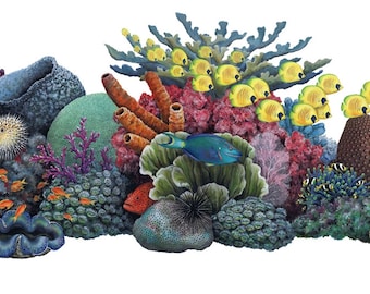 Coral Reef