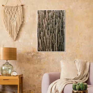 Kaktus Wand Kunst Druck Poster Kaktus Fotografie Southwestern Dekor Wüste Print Wand Kunst für Büro Decor Print Moderne Wand Kunst Pflanzen Print