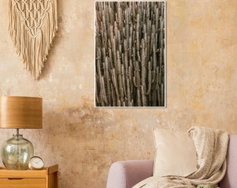 Stampa artistica da parete con cactus, poster, fotografia di cactus, decorazione del sud-ovest, stampa del deserto, decorazione da parete per ufficio, stampa artistica da parete moderna, stampa vegetale