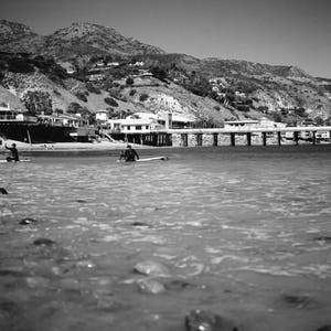 Malibu Beach - Surfers