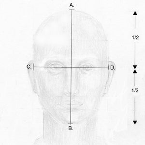 Face Drawing Pdf Start to Draw the Face, Tutorial PDF, How to Draw the Face, Drawing ...