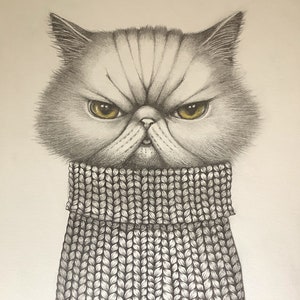 Matou, ritratto di un gatto esotico vestito con un maglione lavorato a maglia di Eva Fialka.