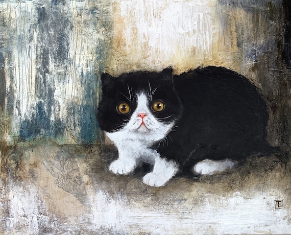 Cute little exotic cat, original acrylic painting on canvas cardboard by Eva Fialka