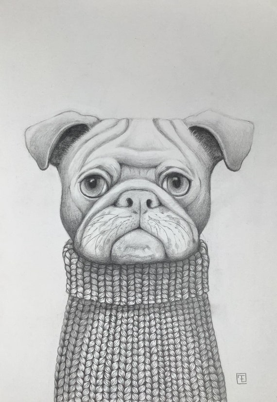 Joe, drawing, portrait of a dog dressed in a knitted sweater by Eva Fialka.