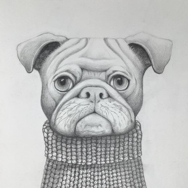 Joe,  dessin, portrait de chien habillé en pull-over tricoté de Eva Fialka.