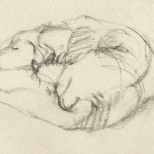 Dog Sketch Minimal Line Drawing, Archival Giclee Print of Charcoal Gesture Animal, Pet Nap Sleeping Black and White Home Wall Decor, No AI