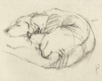 No AI Dog Animal Sketch Sleeping Peaceful Archival Giclee Print of Realistic Charcoal Gesture Quick Drawing Cute Pet Calm Home Wall Decor