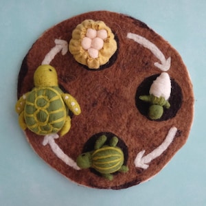 Felt Life Cycle Tray Play Mat
