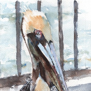 BROWN PELICAN POSE No. 1 Watercolor Art Print, Painting by Claudia Hafner