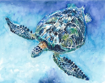 SEA TURTLE No. 21 Watercolor Print by Claudia Hafner