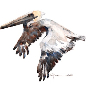 BROWN PELICAN Watercolor Print by Claudia Hafner