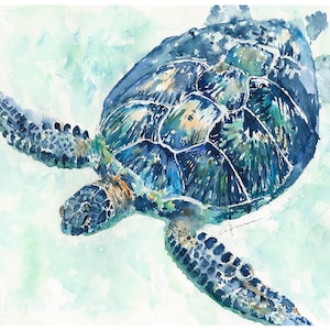 SEA TURTLE No. 8a Watercolor Print by Claudia Hafner