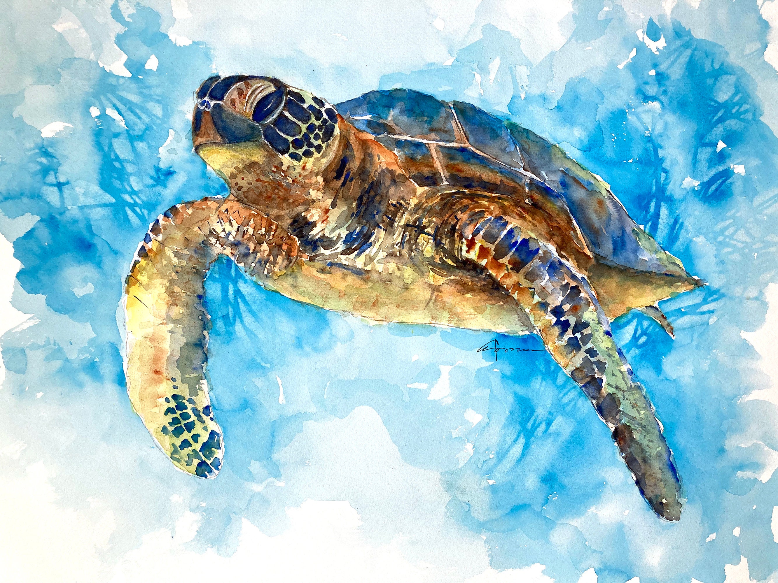 Sea Turtle No Watercolor Print By Claudia Hafner Etsy