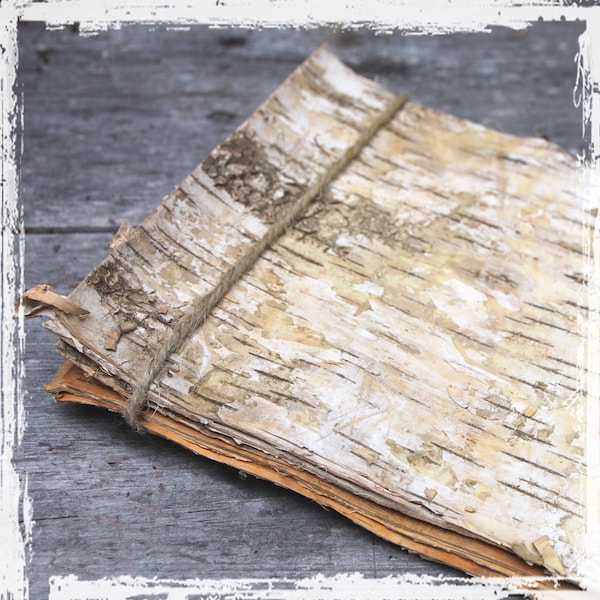 Natural Birch Sheets - Bark Veneer Strips - 6 Pieces, Two Sizes Available - Tree, Rustic Wedding Decor - DYI - Spring Summer Winter