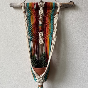May include: A handmade macrame plant hanger with a wooden dowel. The colorful design features shades of teal, orange, yellow, and cream. A small terracotta pot holds two green succulents. The plant hanger is designed for wall hanging.