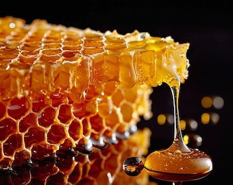 Honey Honeycomb Digitaler Download