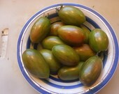 Tomato Plant, Lucky Tiger
