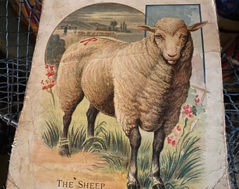 1900s Canvas Book Page Childrens Learning The Sheep Pig Farmhouse Country