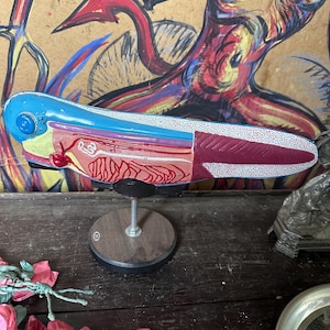 May include: A detailed anatomical model of a fish, displayed on a wooden base. The model is painted in vibrant colors, showcasing the internal organs and skeletal structure. The fish is depicted in a side profile, with its mouth open and its fins extended.