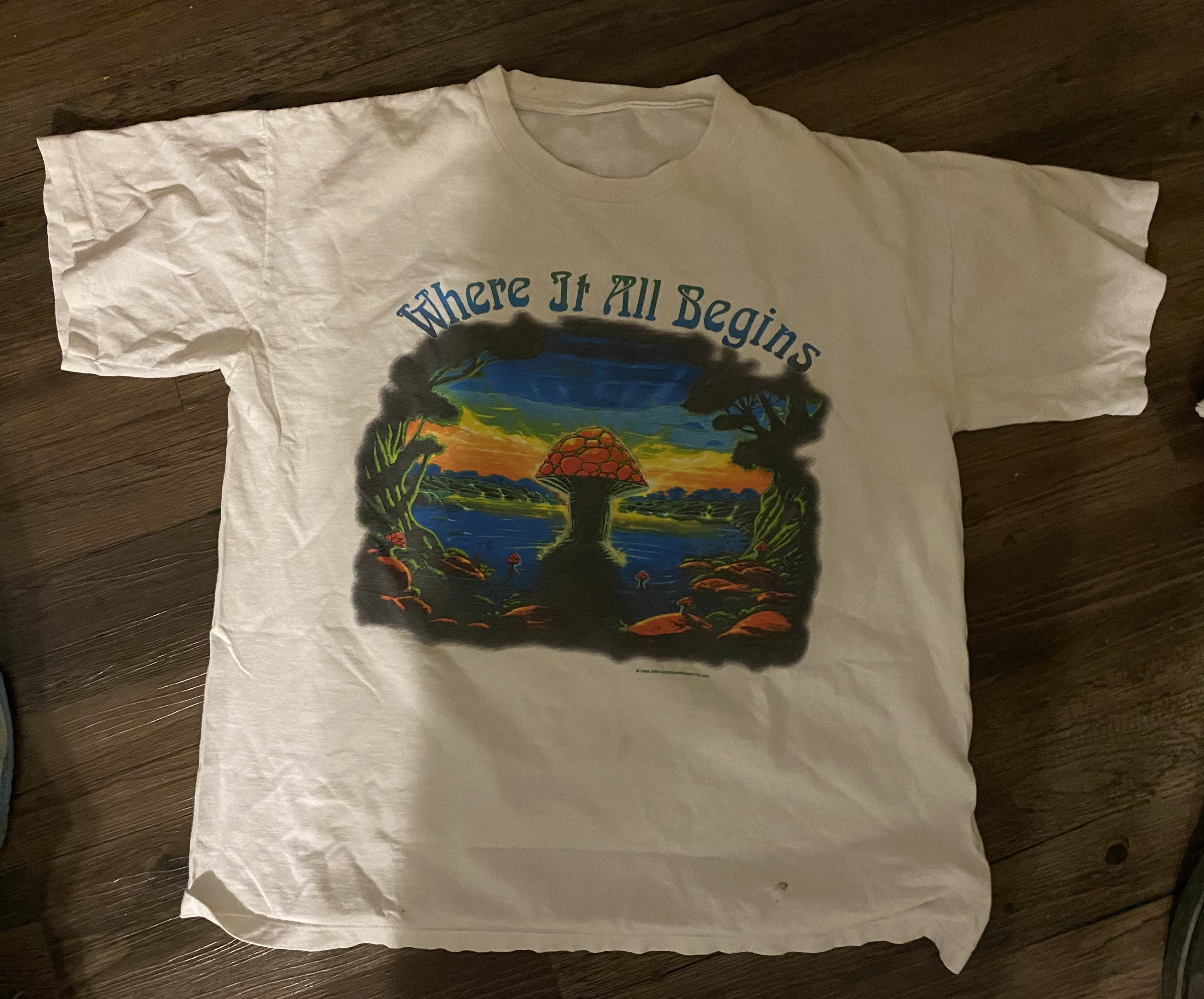 VTG Allman Brothers 1994 Where It All Begins Tour T-shirt Size | Etsy