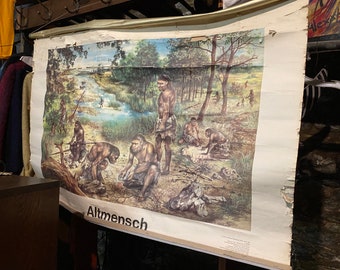 1980s Neanderthal Caveman German School Canvas Pull Down Chart History Vintage