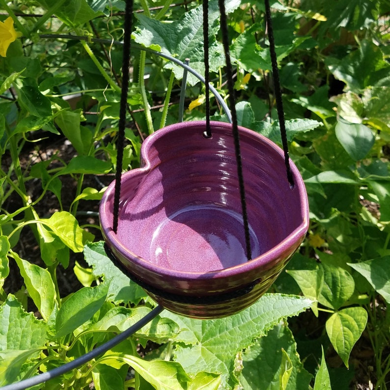 Hanging planter no drainage information