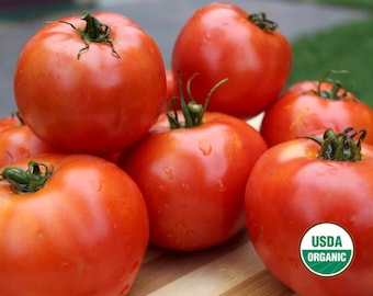 Allstate Heirloom tomato CERTIFIED ORGANIC seed 1 packet (25 seeds)