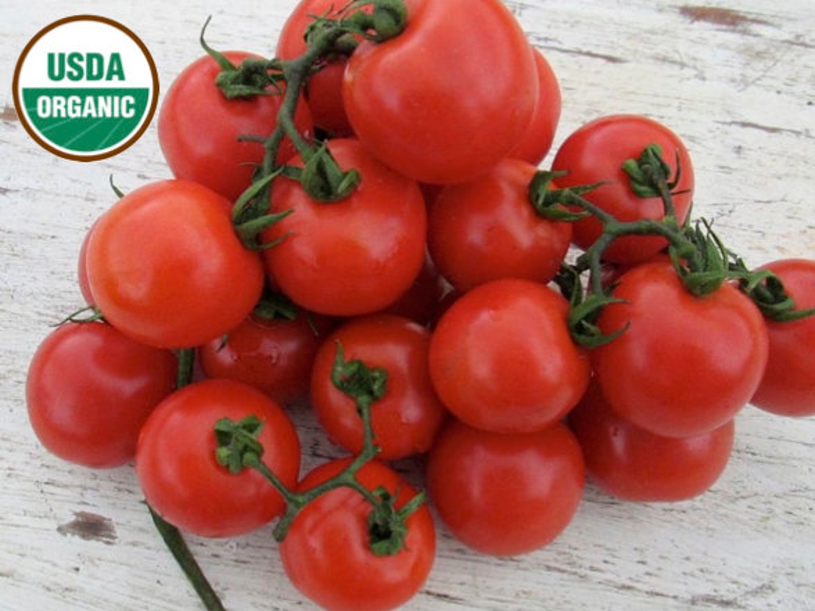 Fox Cherry Tomato CERTIFIED ORGANIC Seed 1 Packet 25 Seeds Etsy