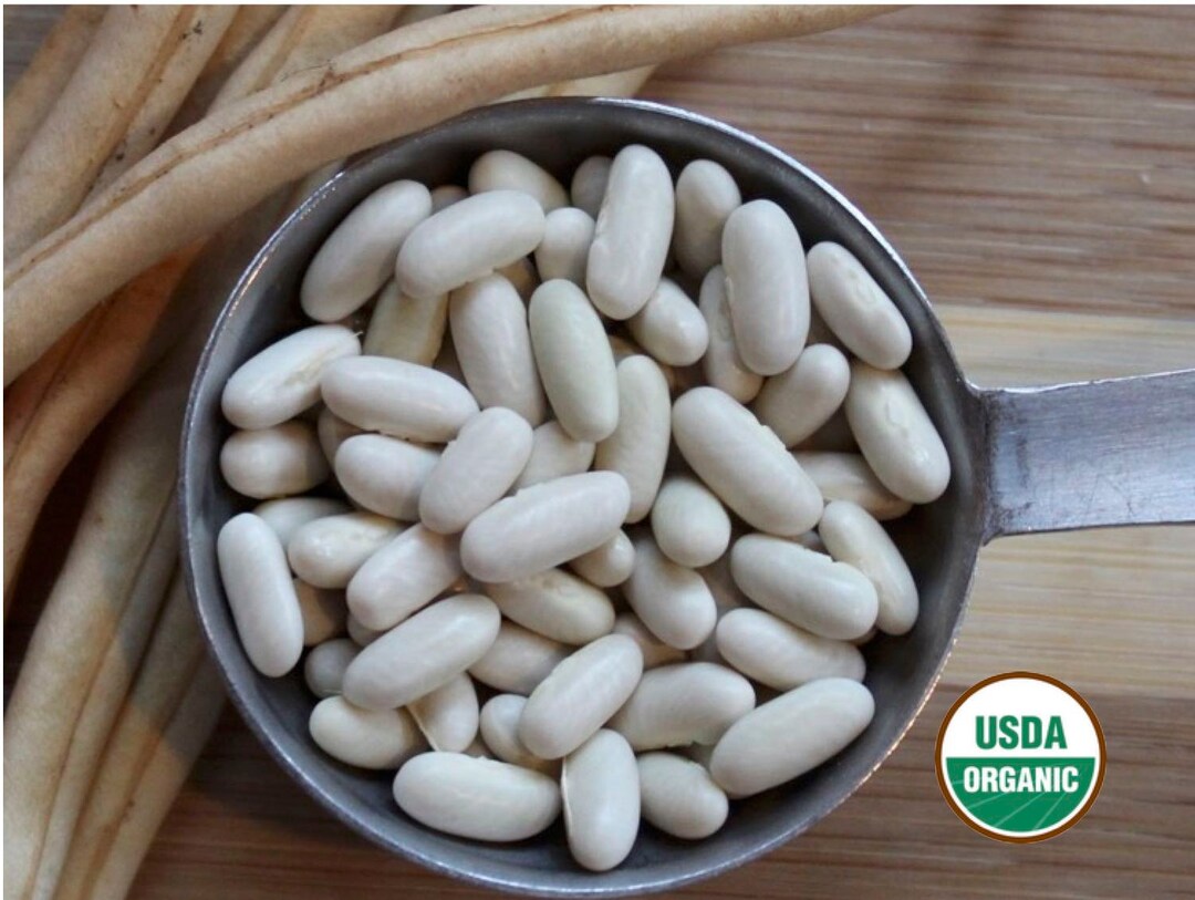 White Rice Bean CERTIFIED ORGANIC Seed 1 Packet 50 Seeds Etsy