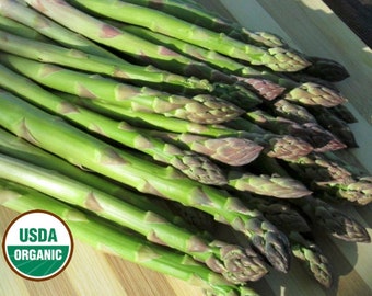 Viking Kb-3 asparagus CERTIFIED ORGANIC seed- 1 packet (25 seeds)