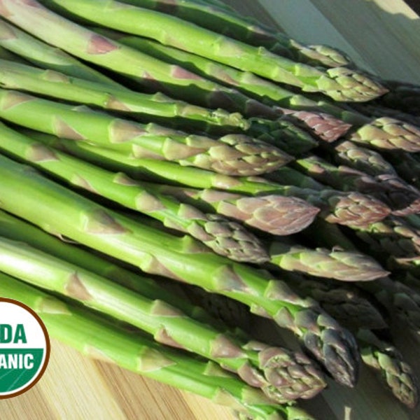 Asparagus Crowns 3 Year Etsy