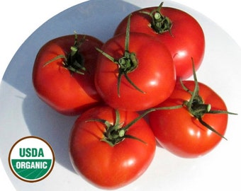Wisconsin 55 Heirloom tomato CERTIFIED ORGANIC seed 1 packet (25 seeds)