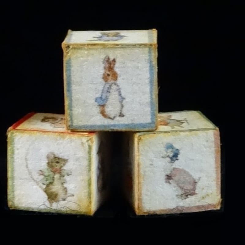 Peter Rabbit Cube AndreasMiniatures - Etsy