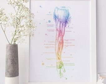 Massage Therapist Gift - Physical Therapist Gifts - Masseuse Gift - Occupational Therapy - Med Student Gift - Greys Anatomy - Massage Decor