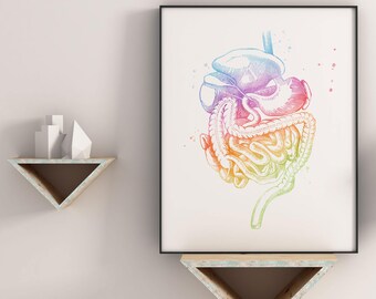 Gastrointestinal Art - Watercolor Anatomy Decor - GI Tract - Med Student Gift - Digestive System - Gastroenterology Gifts - Gastroenterology