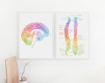 Brain and Spine Art - Neurosurgeon Gift - Neurology - Neuroscience - Watercolor Anatomy